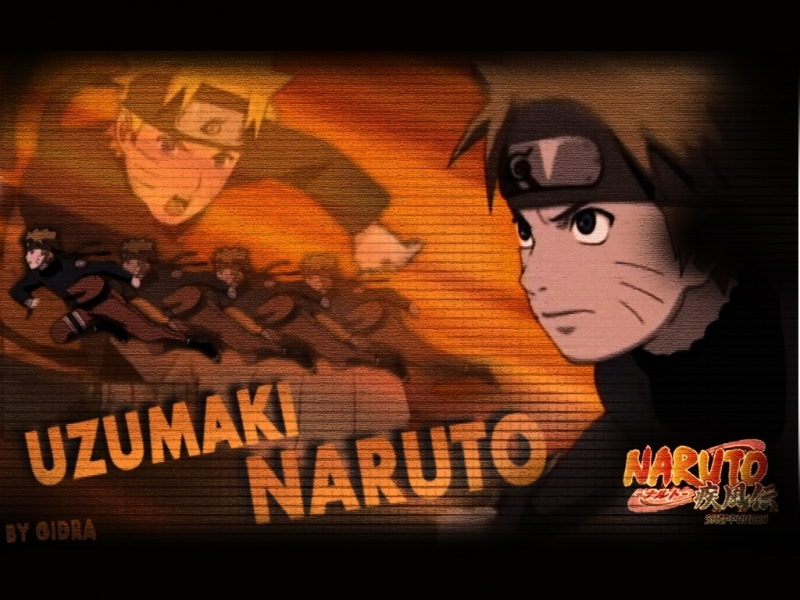 Naruto the Ultimate Ninja